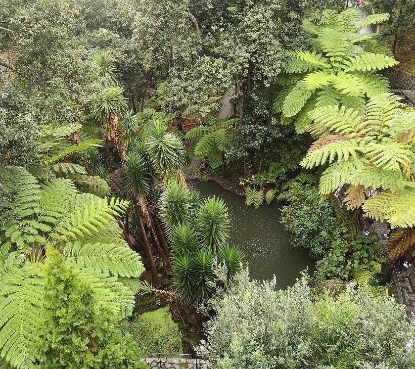 La esencia del paisaje asturiano interpretada por Senén Rivero: diseño de jardines que respetan el entorno natural y la biodiversidad.